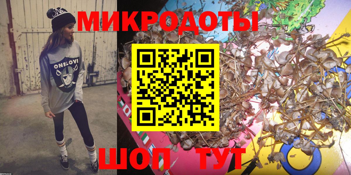 Назрань  Галлюциногенные грибы Psilocybine cubensis  Вход с VPN 