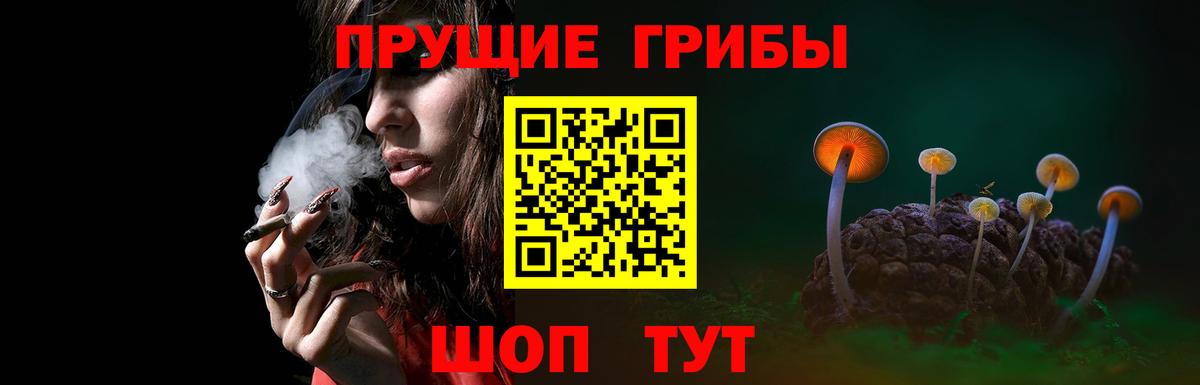 Галлюциногенные грибы Psilocybine cubensis Назрань